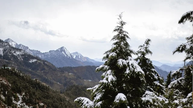 Dhanaulti